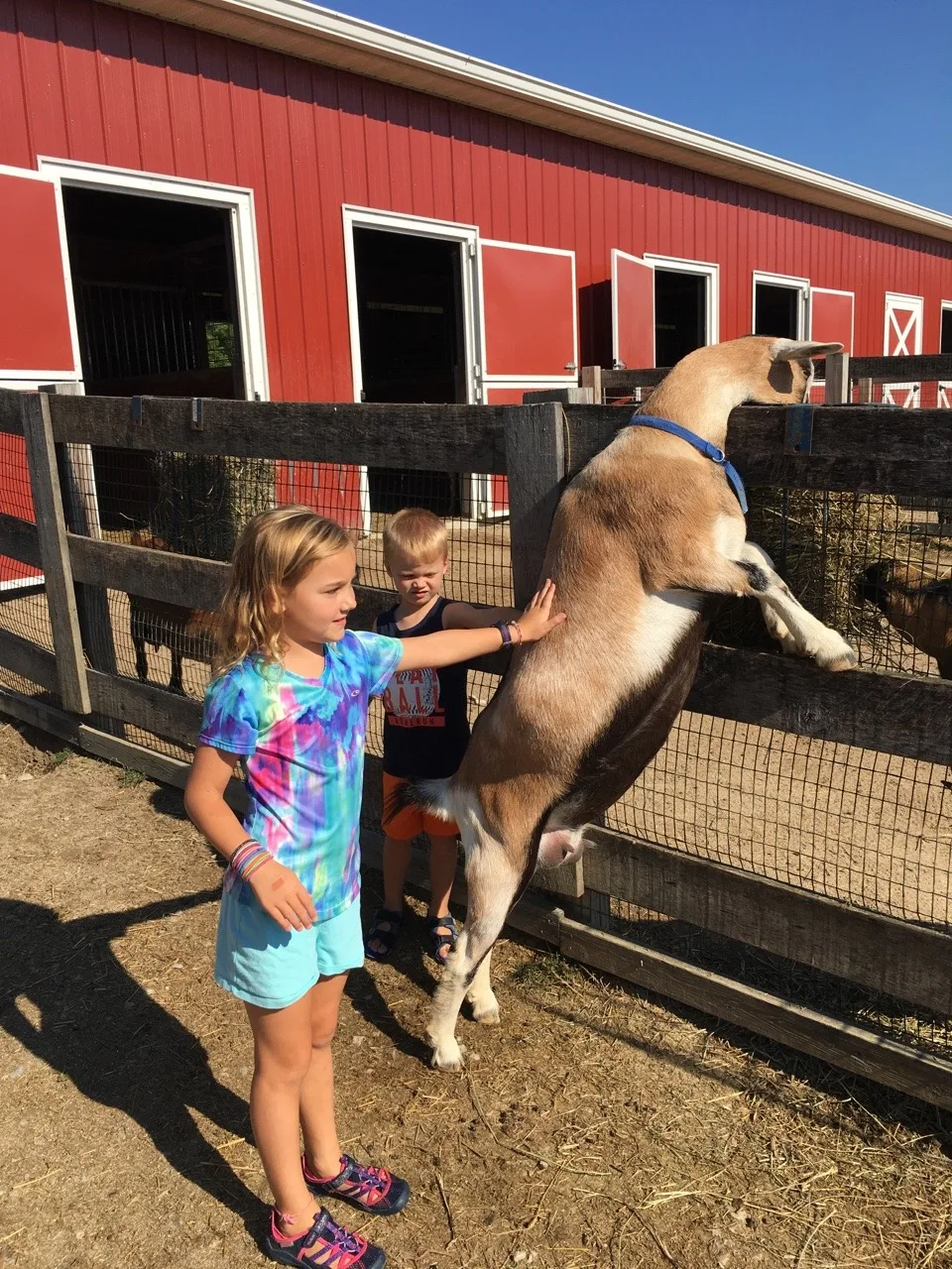 We had a great day with the Koesters at Parky’s Farm!