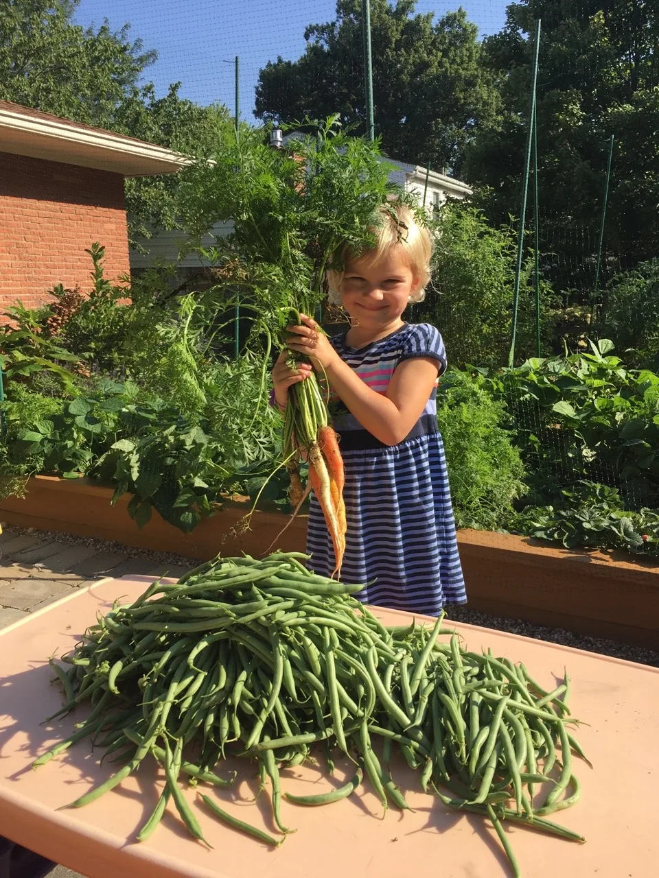Carrots, and even more green beans!