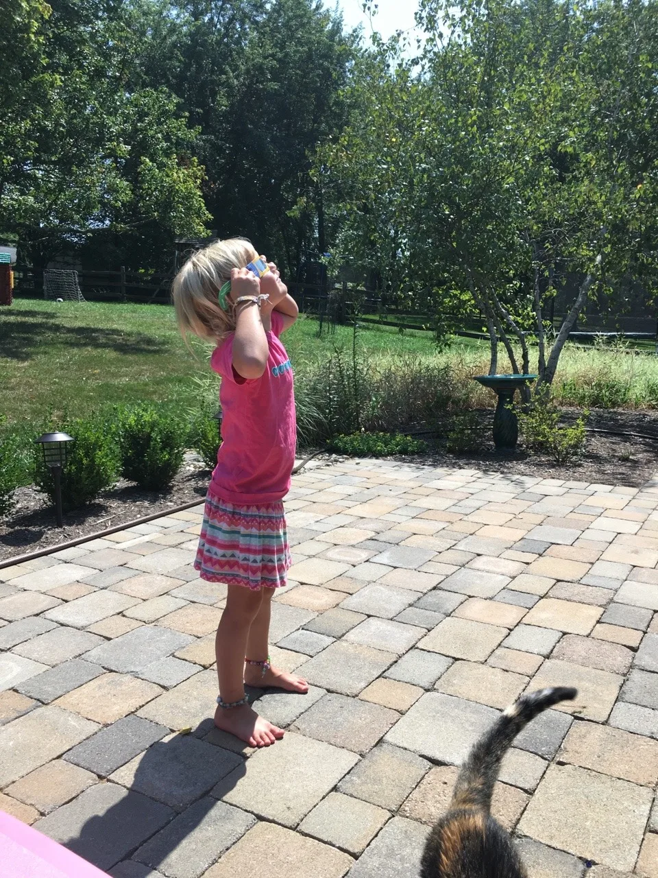 Solar eclipse 2017 – 90% coverage in our area. Abby was at school, Josie was vaguely interested, but Gwen checked it out every 10 minutes or so with me.