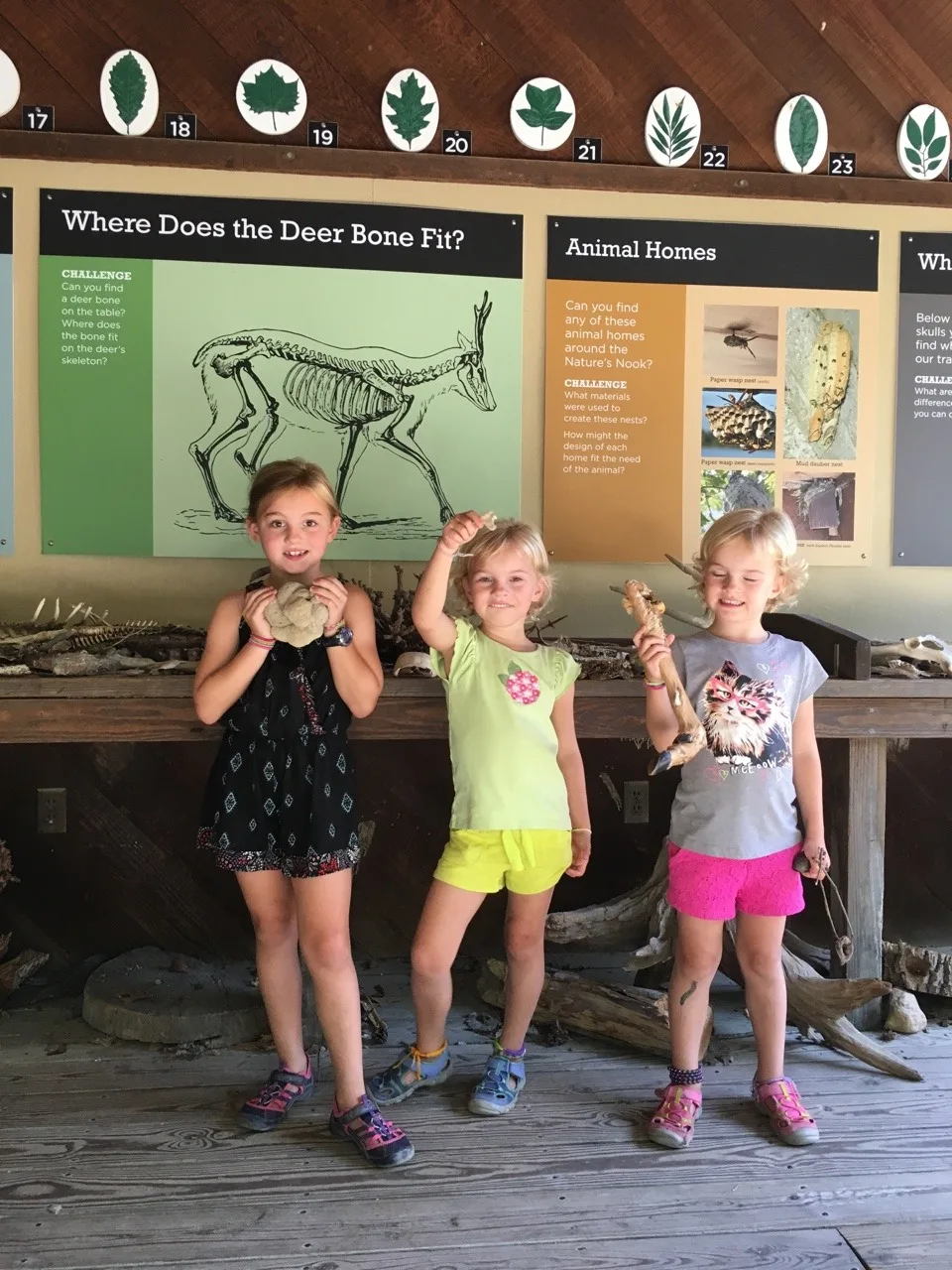 Our past few days included preschool playgroup, a family hike at the Cincinnati Nature Center, and the first dance class of the season.