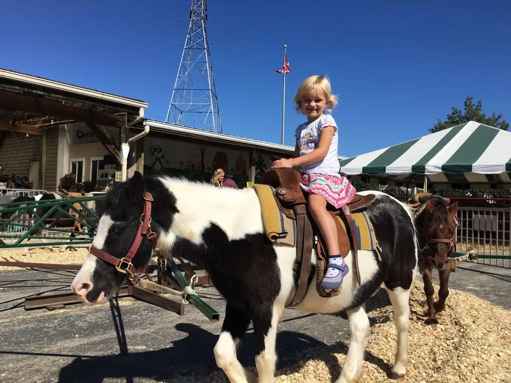We visited two fall festivals at farms this weekend! Although we had fun at both, we all agreed that Shaw Farm is far superior to Burger Farm.