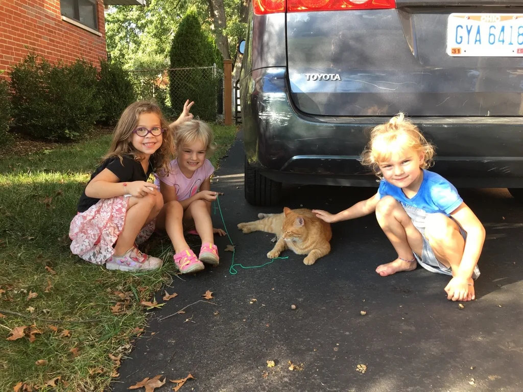 Another friend-filled, fun day. Abby got to walk home from school today. Not to our home, but to a fun play date at the Sammut’s house. Wesley Marmalade the cat was a hit. The “laser maze” was too.