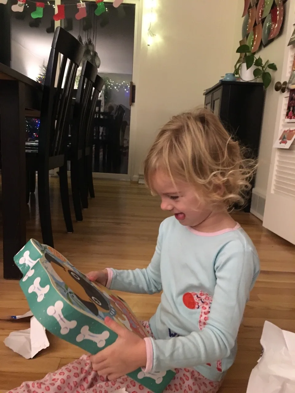 A rare gathering of all five sisters on Christmas Eve, and another fun Christmas morning with Auntie Em.