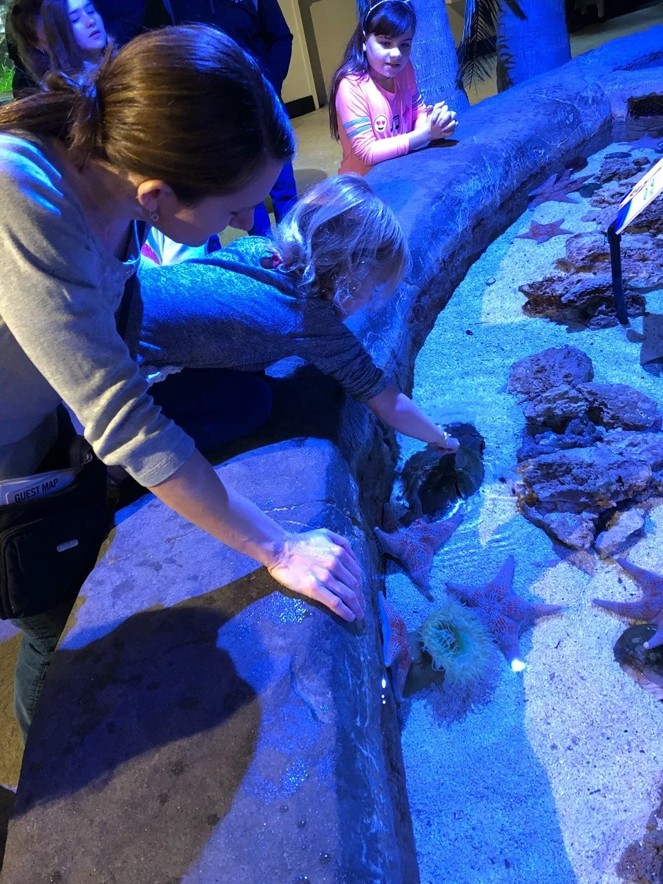 Our trip to the Newport Aquarium almost tricked us into believing we were on vacation. It was a surprisingly good time!