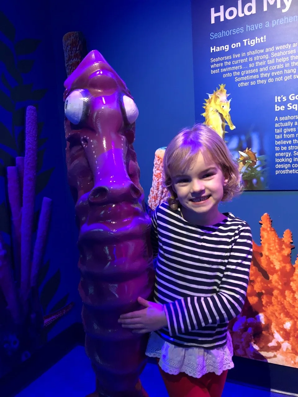 Our trip to the Newport Aquarium almost tricked us into believing we were on vacation. It was a surprisingly good time!