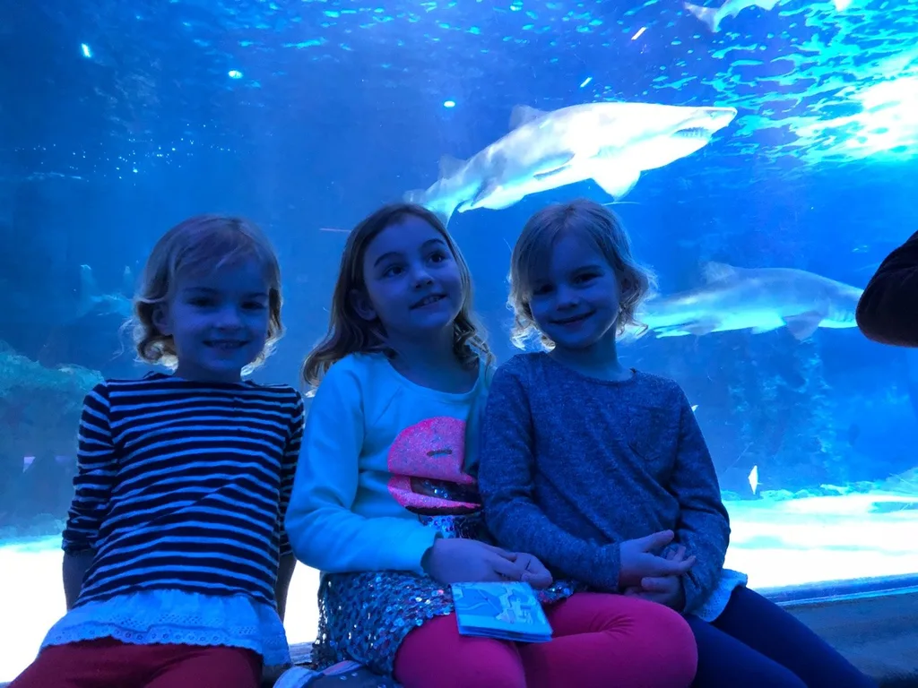 Our trip to the Newport Aquarium almost tricked us into believing we were on vacation. It was a surprisingly good time!