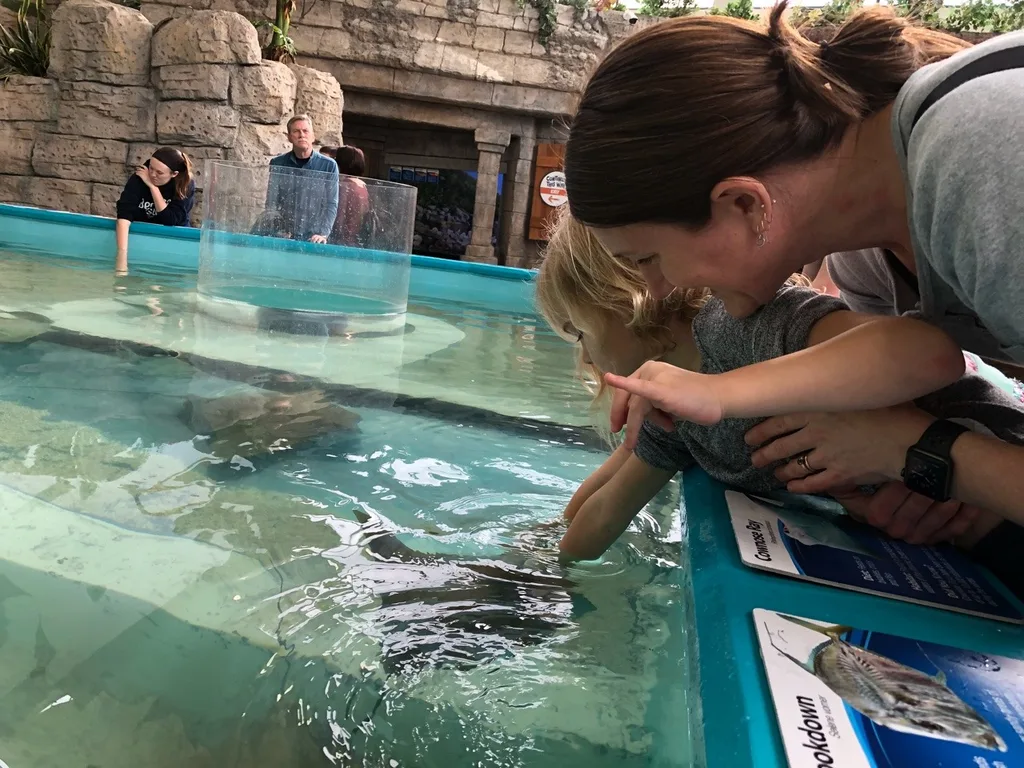 Our trip to the Newport Aquarium almost tricked us into believing we were on vacation. It was a surprisingly good time!