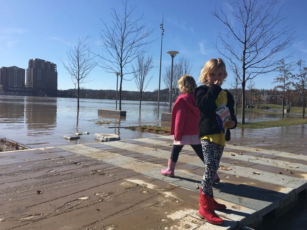 A flooded river, and waffles