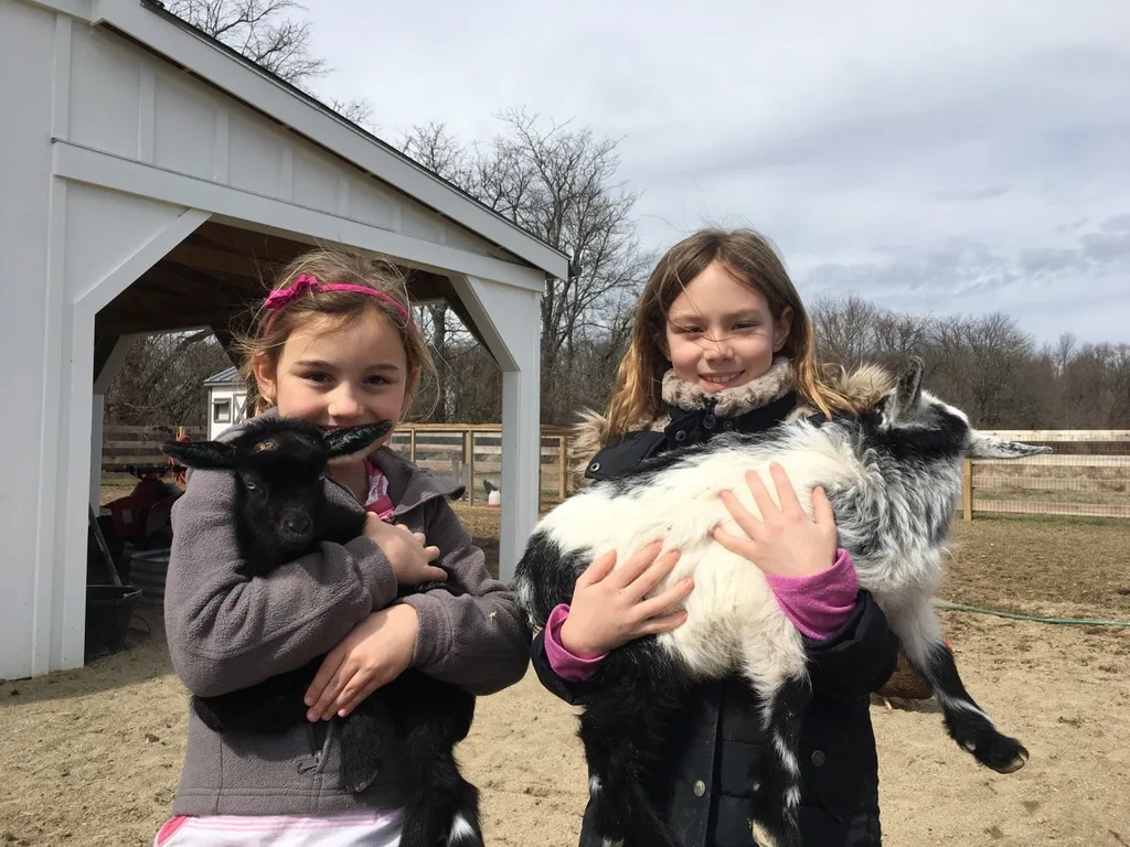 These girls loved visiting with the baby goats today at the Speed’s farm.
