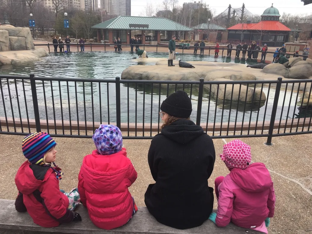 We had to drive through a snowstorm, but we found nicer weather (and Auntie Clara) in Chicago! We visited the Lincoln Park Zoo, enjoyed a Shake Shack burger, and had a fun time swimming. Not bad for day one!