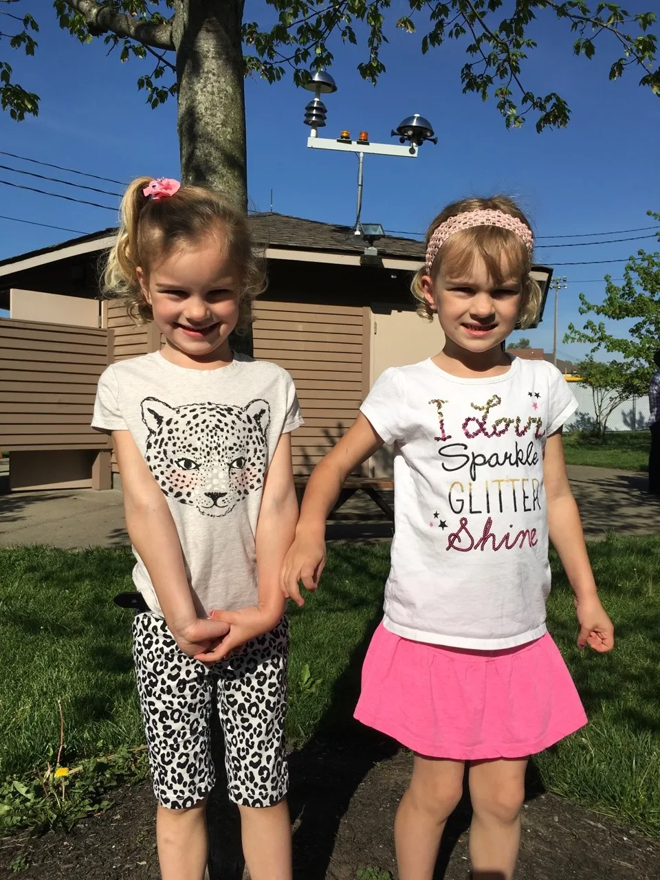 Kindergarten round-up!