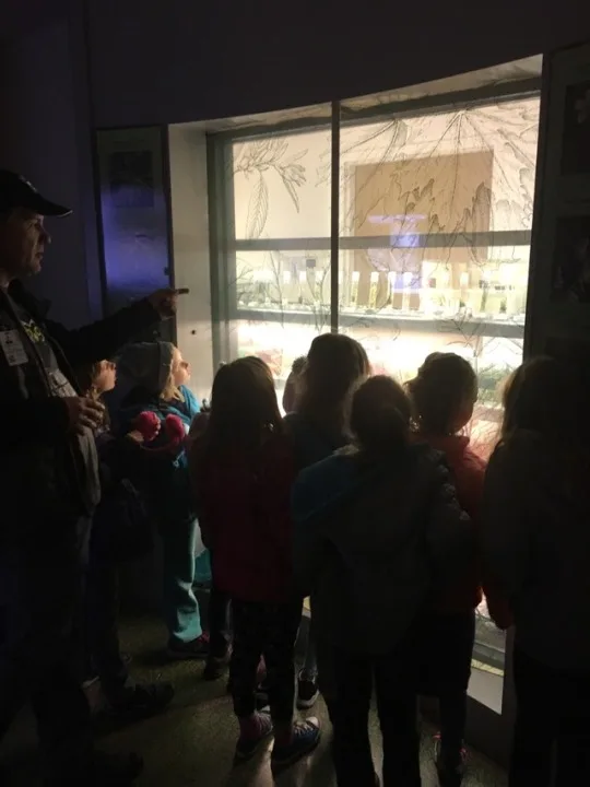 We slept with the manatees!