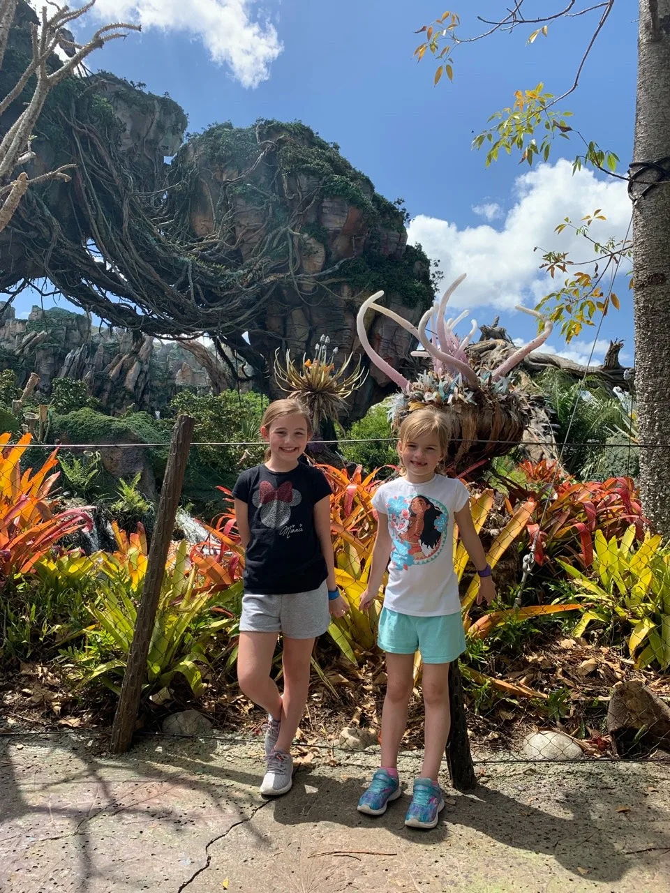 A few more Animal Kingdom photos. Gwen and Abby loved riding the Expedition Everest roller coaster. We all enjoyed the Finding Nemo musical, especially since it got us off our feet, out of the afternoon sun, and away from the massive crowds for a bit.
