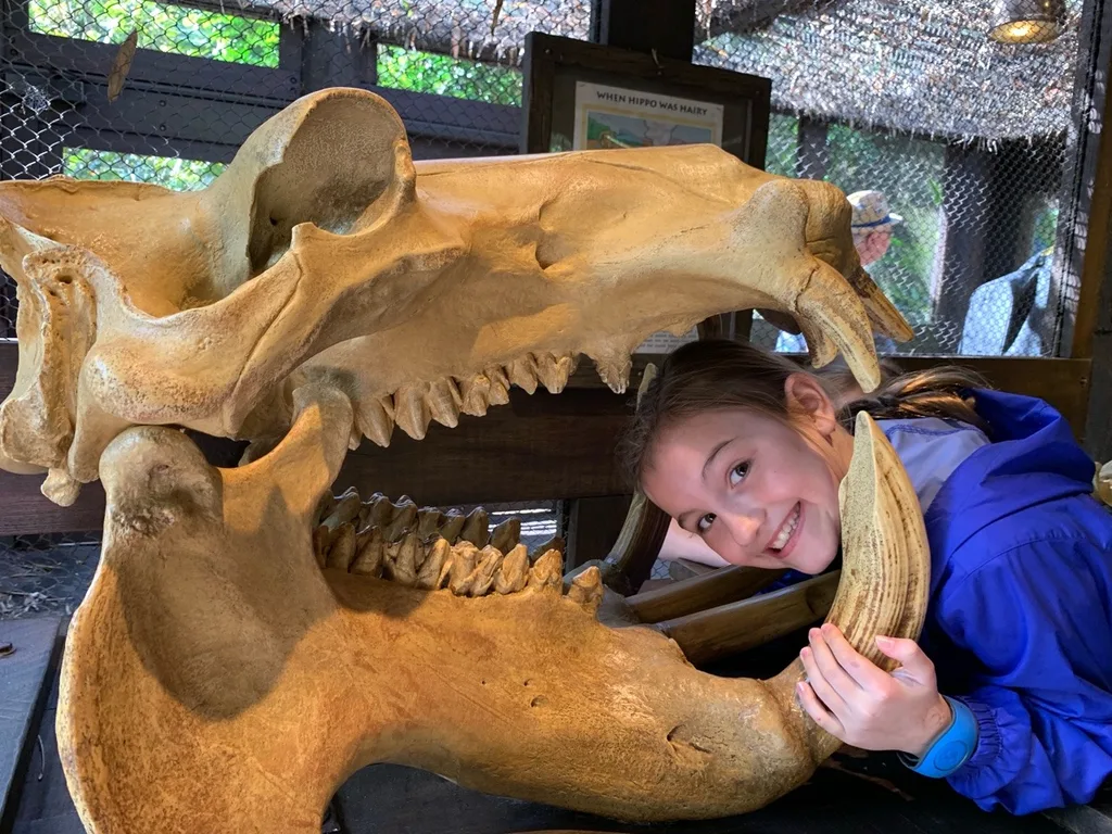 We had a great day at Animal Kingdom! These photos were some highlights from Discovery Island and Africa. We especially loved the African safari and food, the Lion King show, and the Nature Explorerer scavenger hunt!