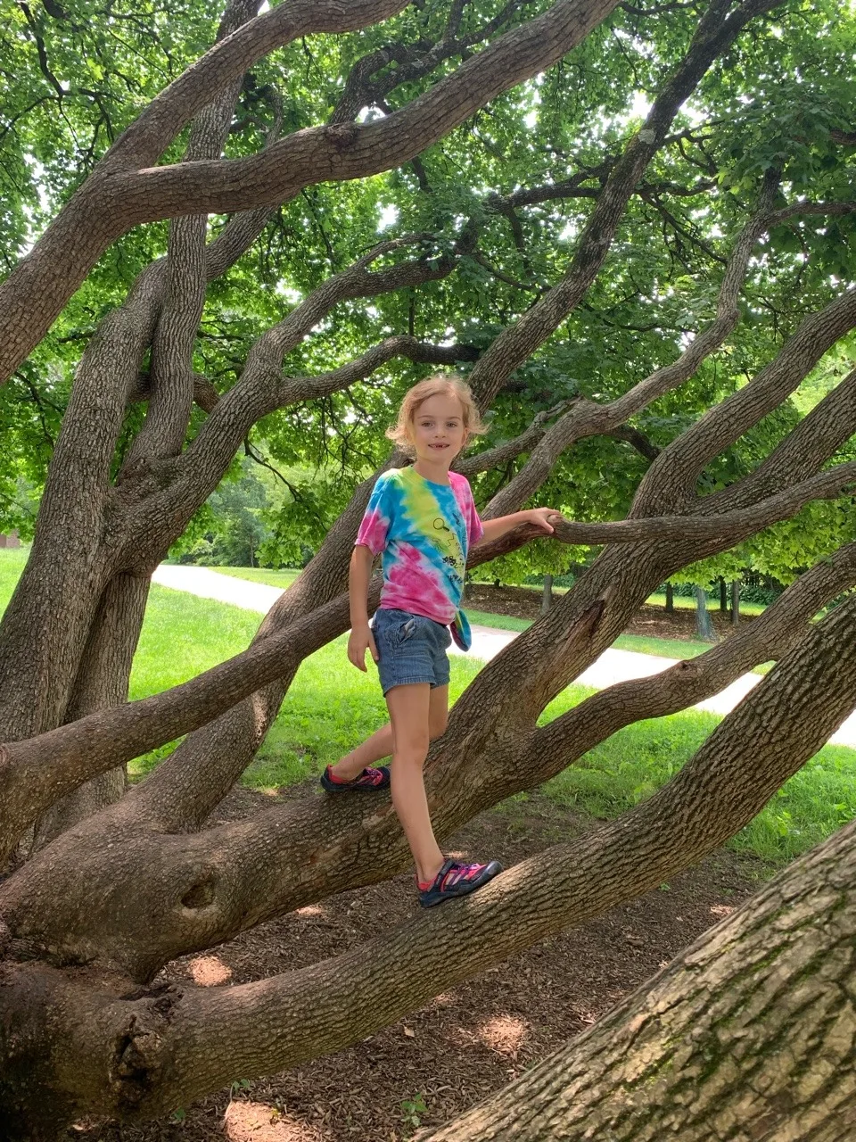 When you find a perfect climbing tree on a beautiful day, you take a few cute girl pictures.