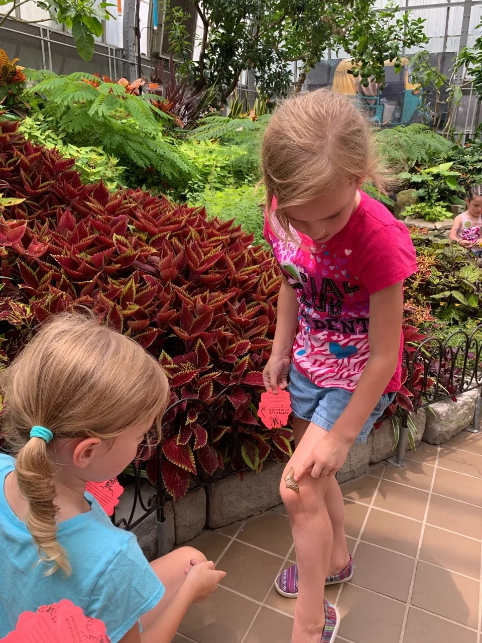 Summer adventure list: Krohn Conservatory butterfly show!