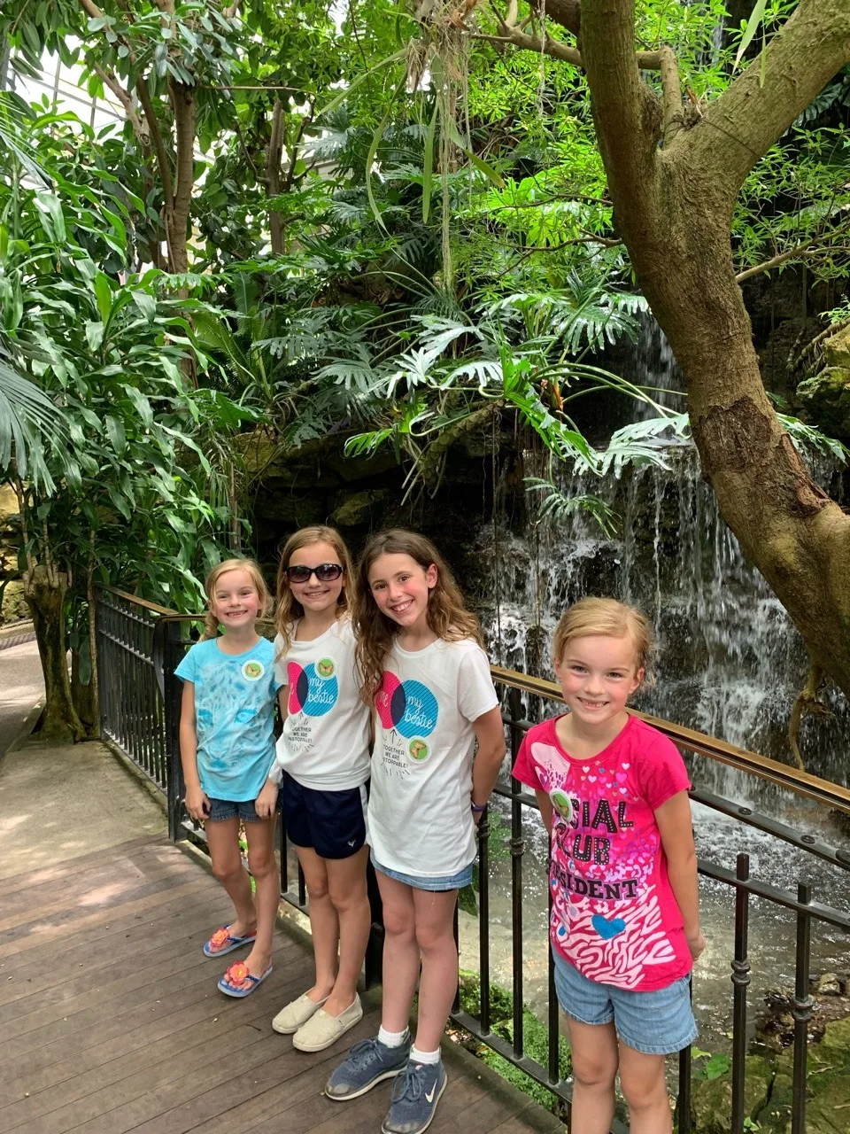 Summer adventure list: Krohn Conservatory butterfly show!