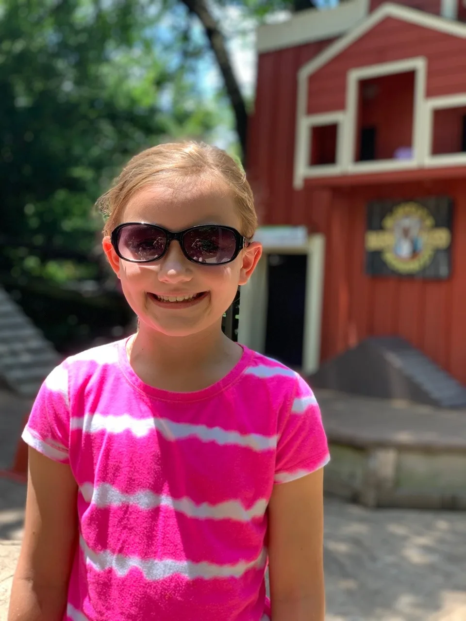 Summer adventure list: a trip to the zoo to see the “goat show” and bird show. They loved it when Eunice suddenly recognized them during the show.