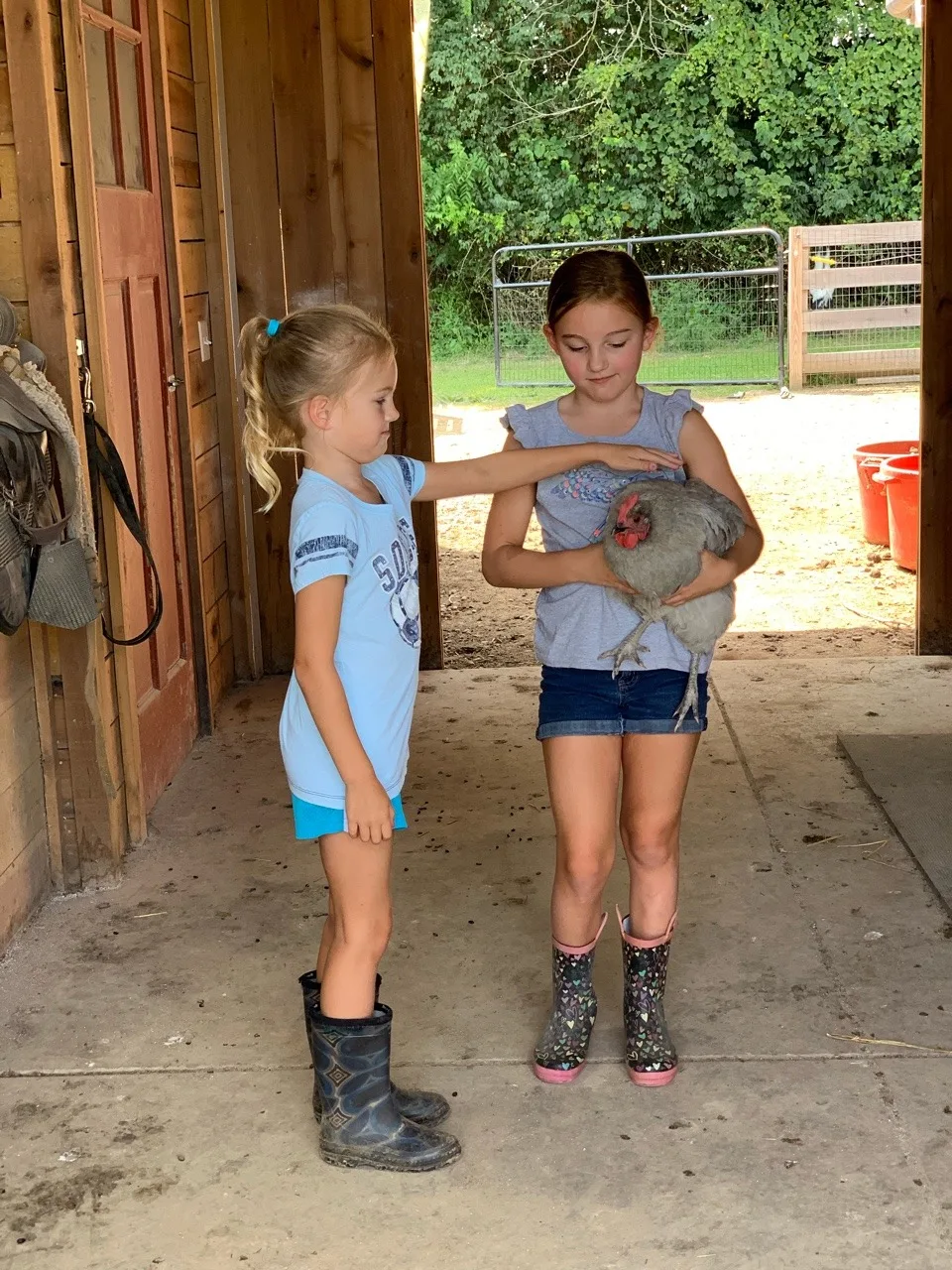 These girls love visiting Stella, Ruby, and their chickens.