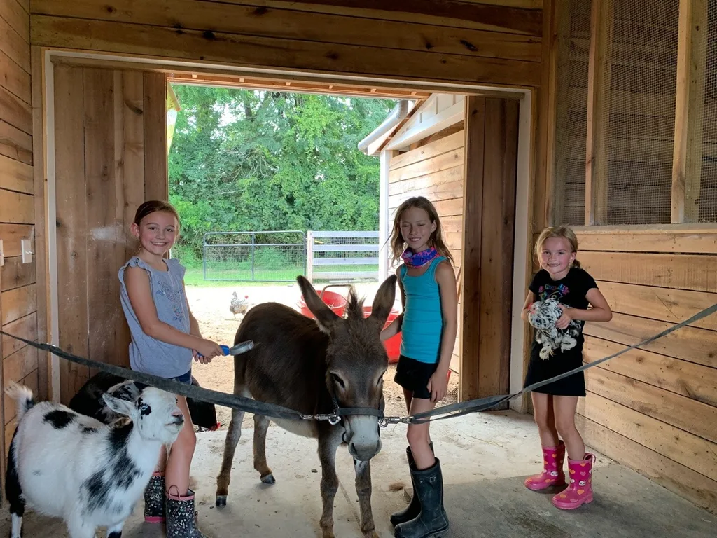 These girls love visiting Stella, Ruby, and their chickens.