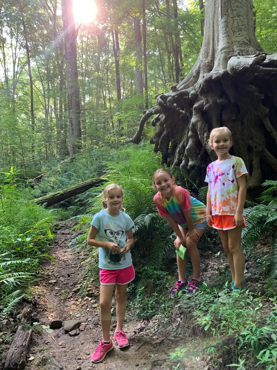 Our quick overnight trip to Mammoth Cave and the Kentucky Horse Park was so much fun! Although Gwen and Josie weren’t quite ready to tour a cave for two hours, Abby and John loved their historic cave tour. (We enjoyed the Sloan’s Pond walk led by a park ranger.) So many great hikes, and they were sworn in as Junior Rangers!