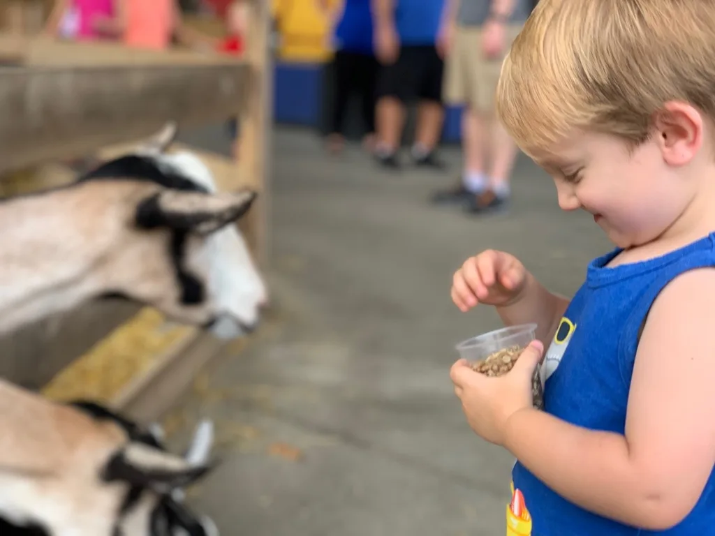 Summer Adventure list: Kings Island! It rained on us, but we still had a blast! Our girls were adventurous. Josie rode her first roller coaster, and loved it! Abby rode Drop Tower and every roller coaster except Diamondback and the Beast, but missed those only because we ran out of time. Gwen tried both the Racer and Adventure Express, her first two coasters outside Snoopy Land.