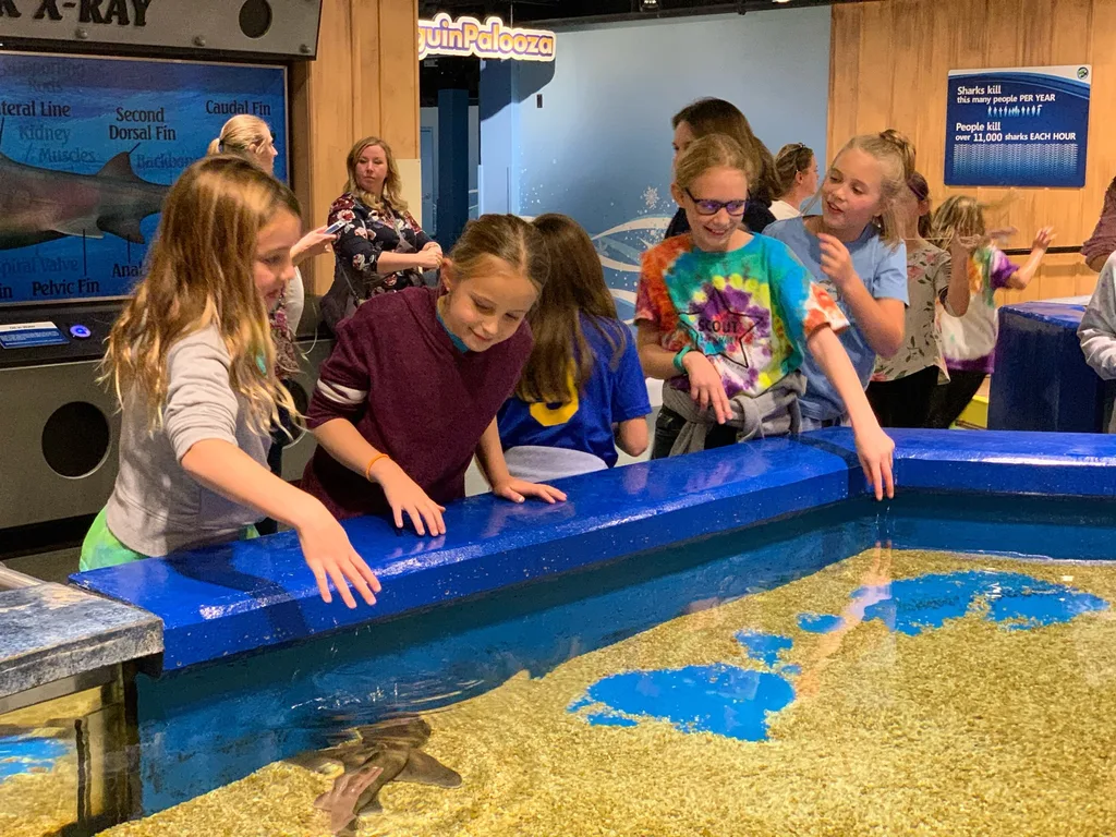 “Best overnight ever!”