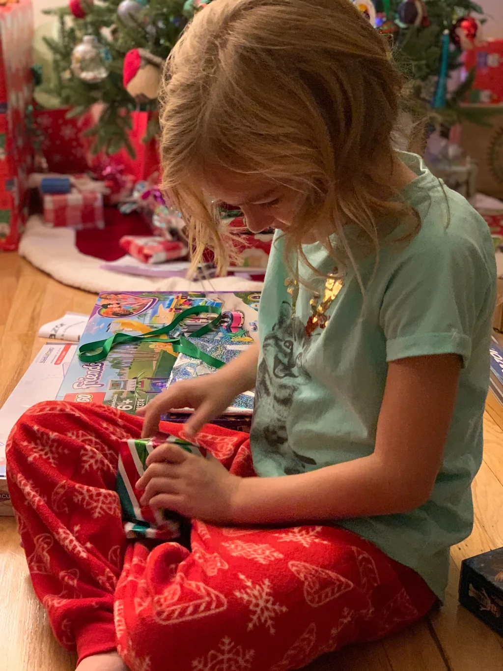 Abby tried to stay up to catch Santa; no luck. Christmas morning featured lots of fun new toys for our maker space.