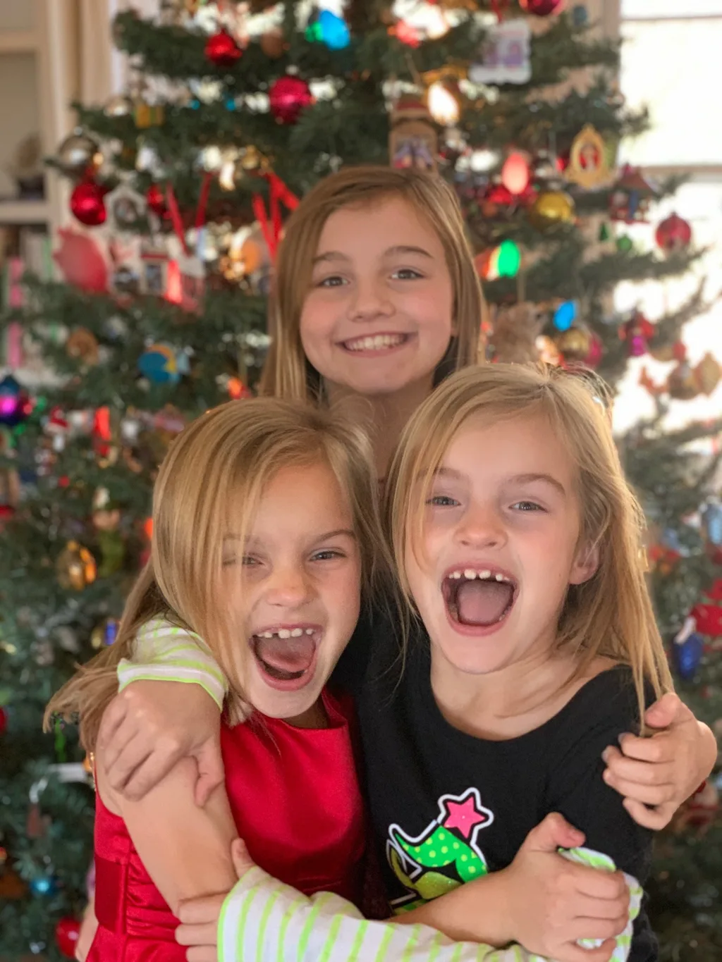 Another pineapple, coconut, and watermelon!