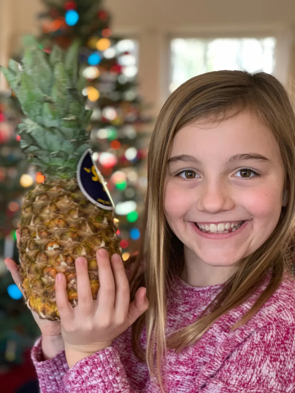 Another pineapple, coconut, and watermelon!