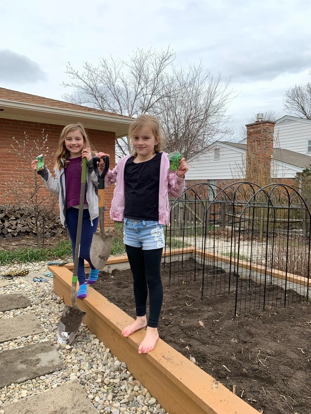 Social distancing day 1: garden beds ready, snap peas planted!