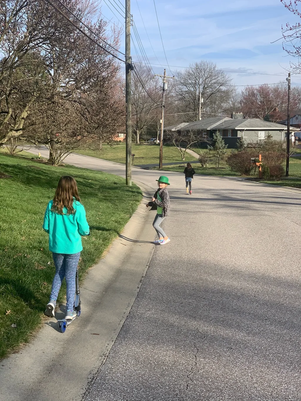 Social distancing day 2: lots of walks and celebrating Saint Patrick’s Day.