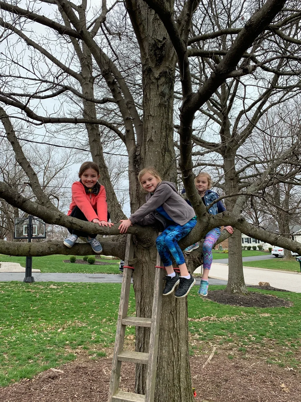 Socially distanced, but not socially isolated. Abby and I got together with some other neighbors to cut fabric for face masks to donate, and joined a group to help some elderly neighbors with yard work this weekend. Today, we explored the KHCC Greenbelt, and the girls loved it! So fun!