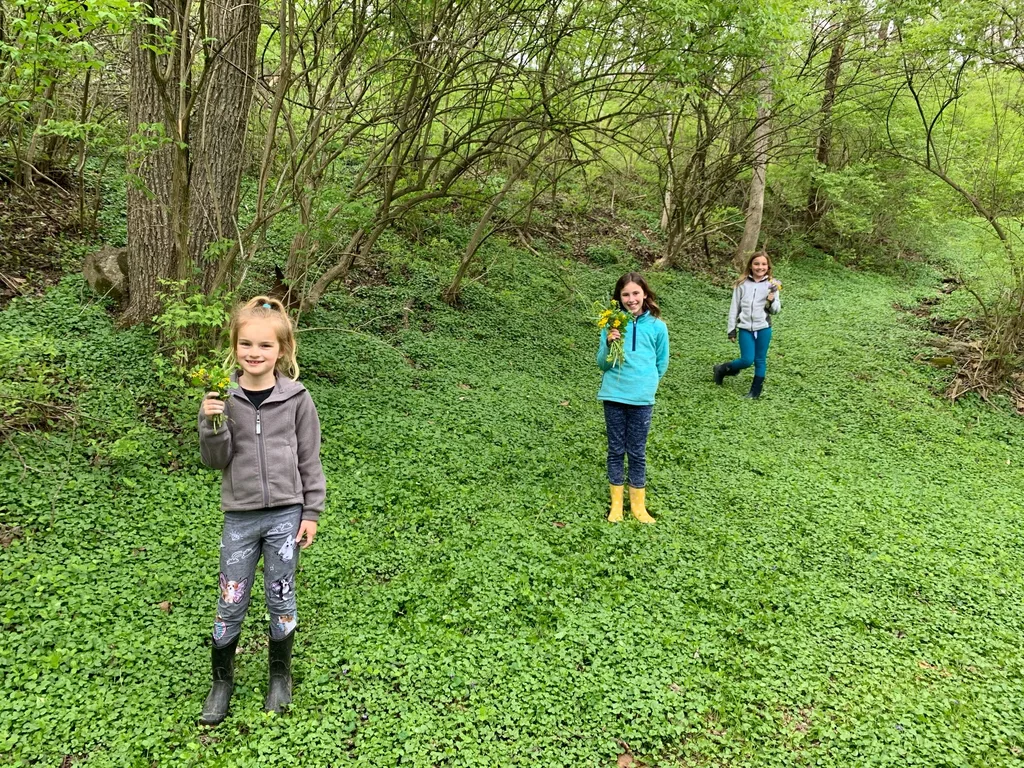 Hiking days are the best days!