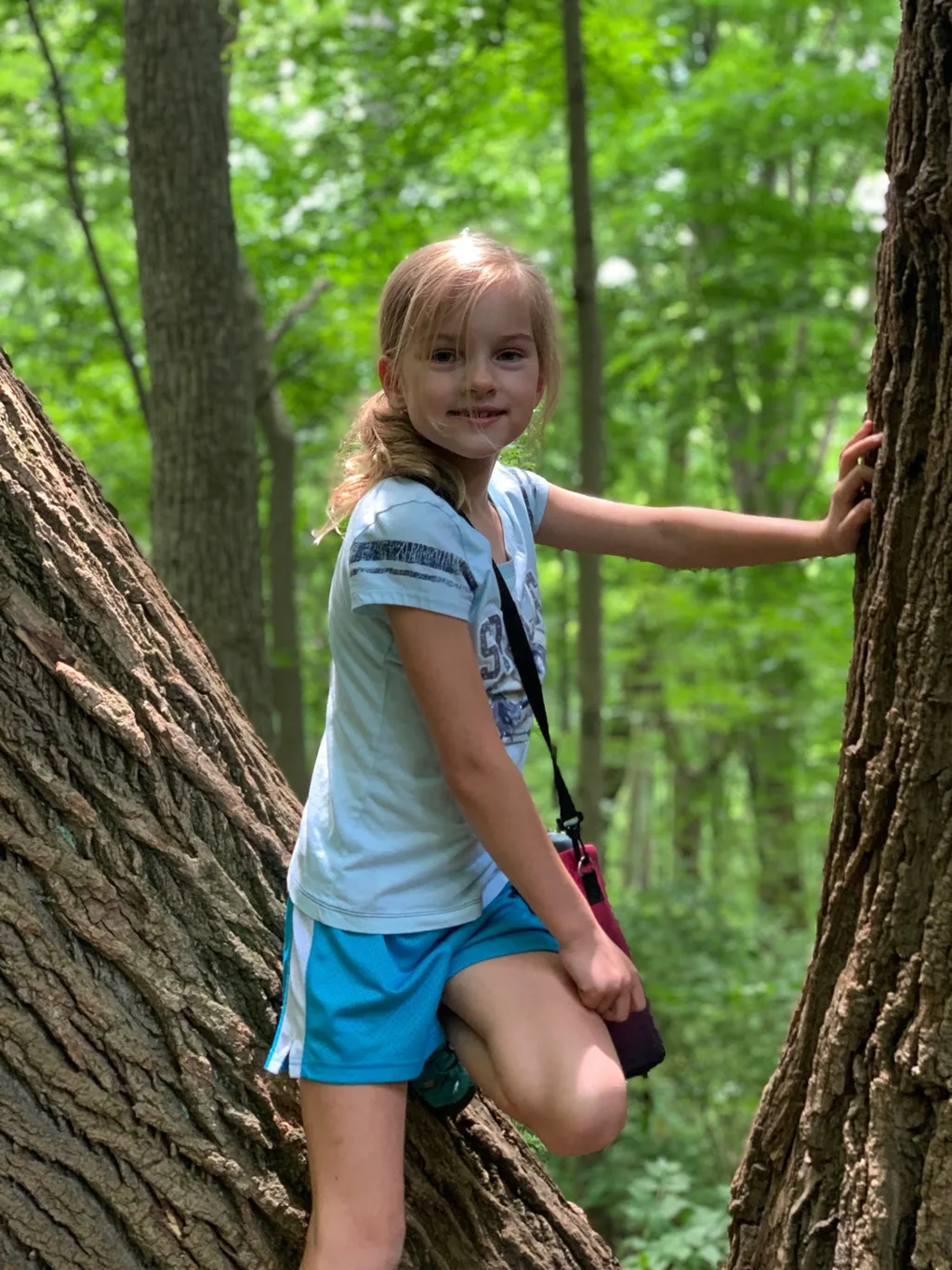 Beautiful weather requires hiking!