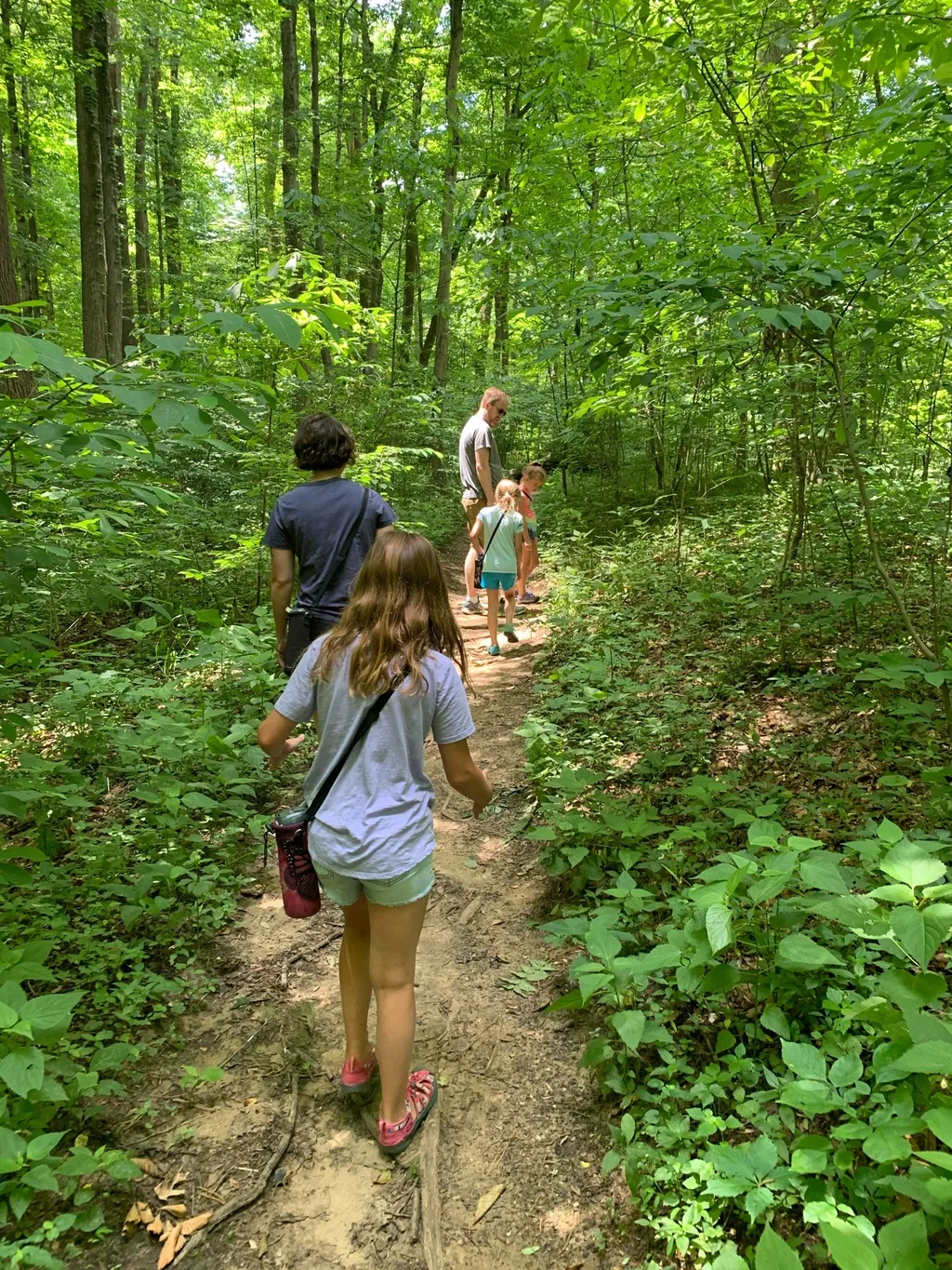 Beautiful weather requires hiking!