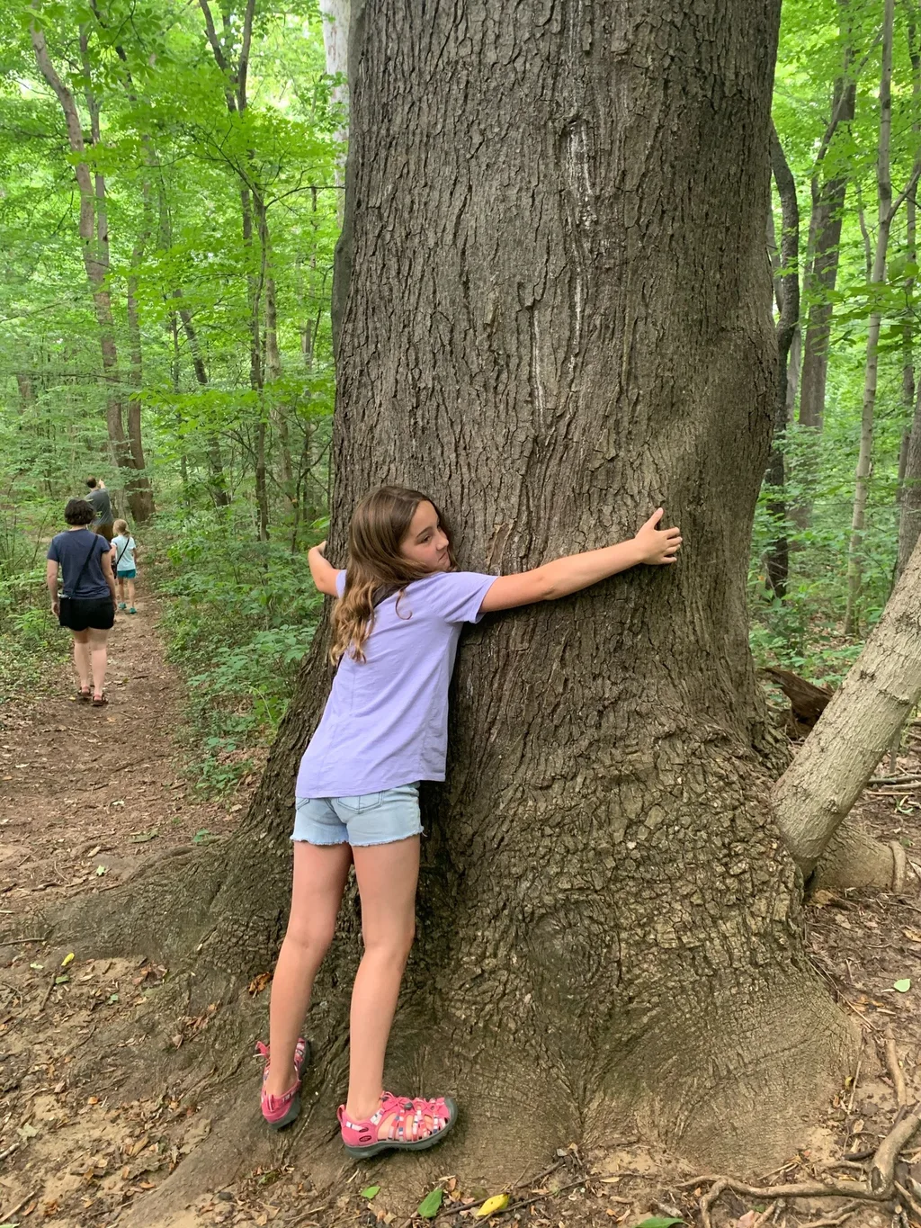 Beautiful weather requires hiking!