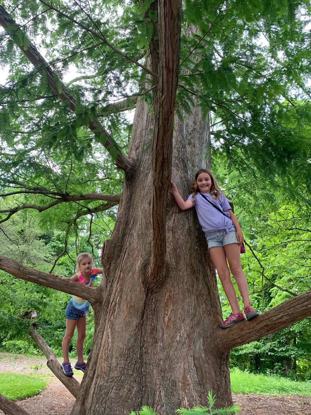Beautiful weather requires hiking!