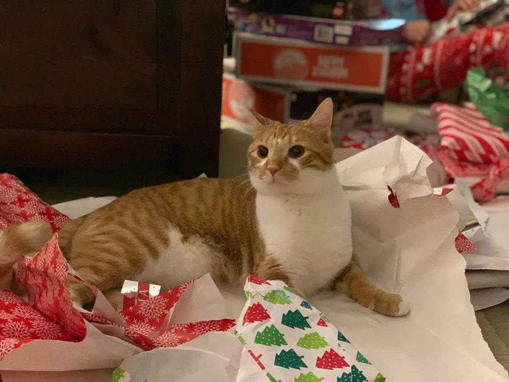 Santa still visits even during a pandemic.