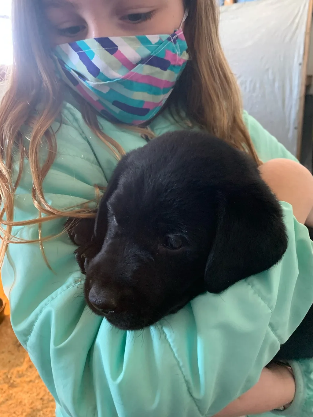 We finally had a chance to meet these cuties yesterday!