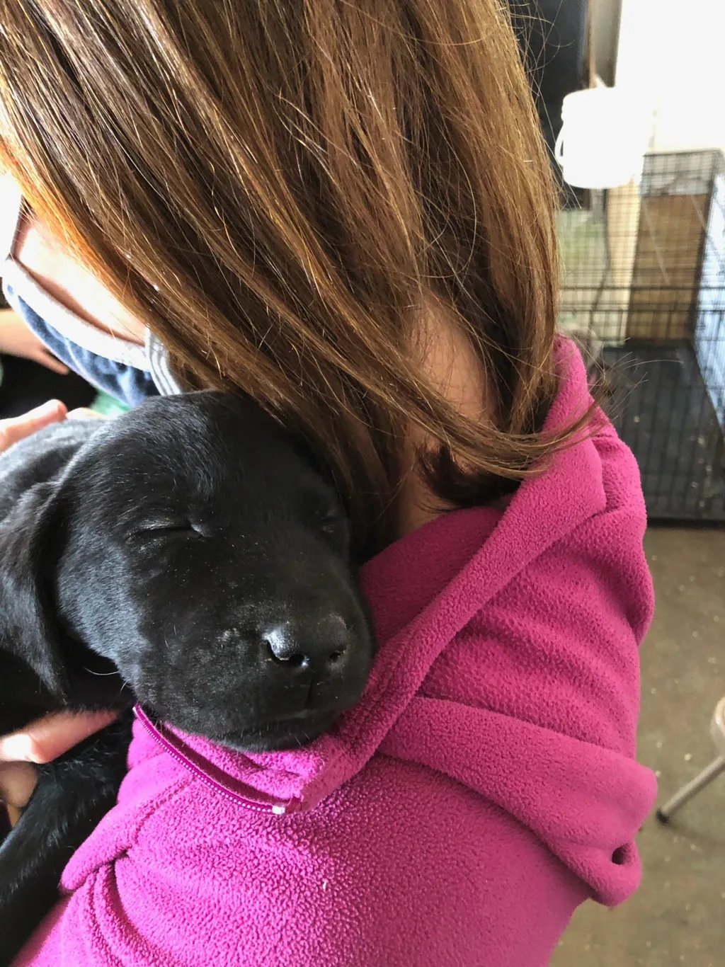 We finally had a chance to meet these cuties yesterday!