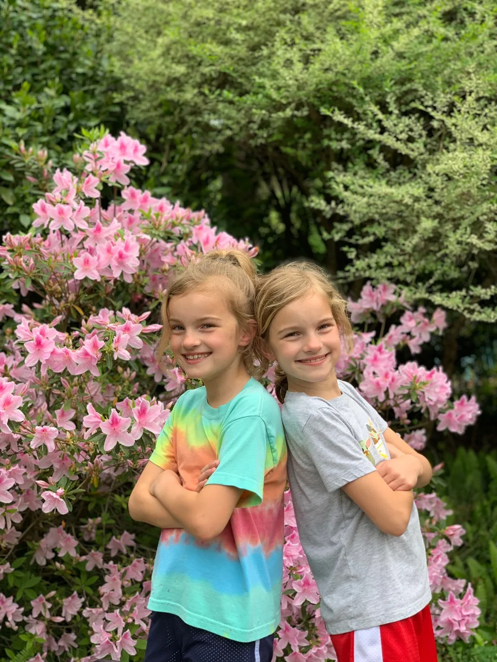 One year later, we finally took our trip to Savannah! We squeezed in time downtown and at both Hilton Head and Tybee Island beaches. The girls loved splashing in the ocean; Daisy too, but it was cold! Daisy and Sammy were fast friends.