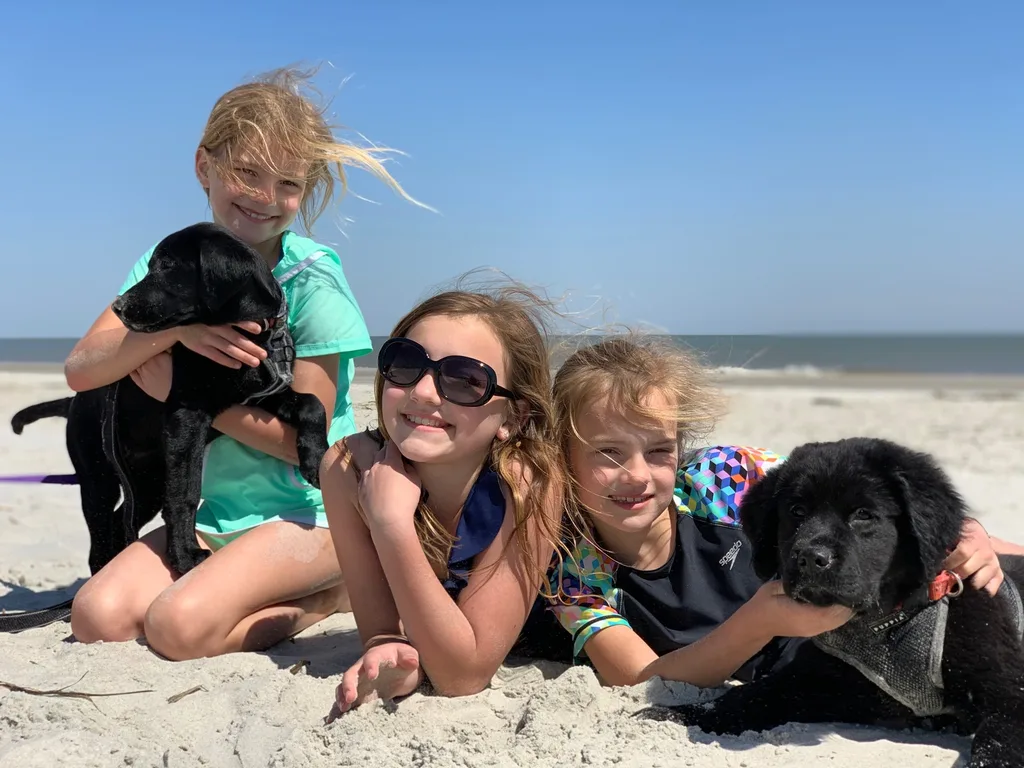 One year later, we finally took our trip to Savannah! We squeezed in time downtown and at both Hilton Head and Tybee Island beaches. The girls loved splashing in the ocean; Daisy too, but it was cold! Daisy and Sammy were fast friends.