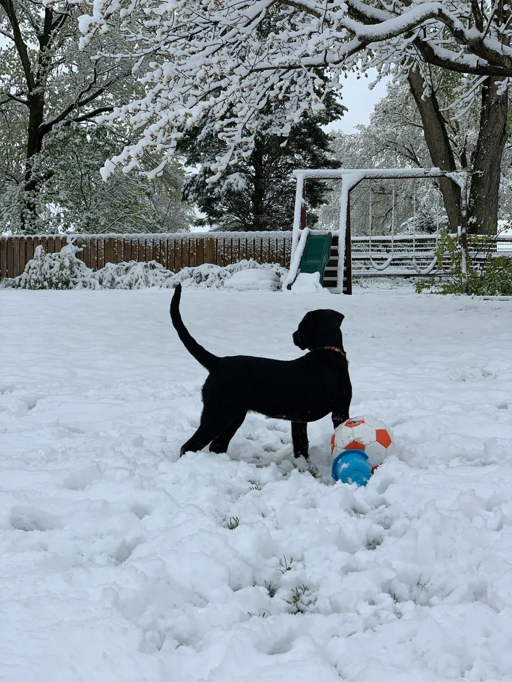 “Mom, this feels like fiction,” says Josie. Record set for April with 2.5 inches of snow!
