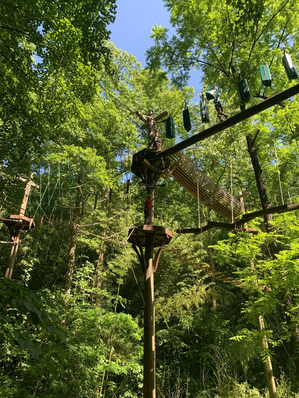 We had the best time vacationing in Bryson City, just South of the Great Smoky Mountains National Park, with Em and Chris (who planned the trip and let us join them). We loved boating and swimming in the crystal clear waters of the lovely, unspoiled Lake Fontana. Josie was especially fond of tubing, a first for the girls. Gwen and Abby were fearless adventurers at the Nantahala Outdoor Center. Josie and I preferred zip lining to climbing, and we’re so grateful when our guide, Hunter, graciously, showed us how to navigate the high ropes course. We drove there and home through Gatlingurg and Pigeon Forge. Although the shake machine at Mapco was a hit, we now know that we can avoid vacationing at Gatlinburg - not our scene!