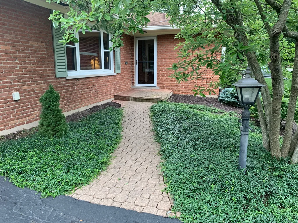 Two months after demo, and I finally spread the last bag of topsoil and remembered to take pictures!