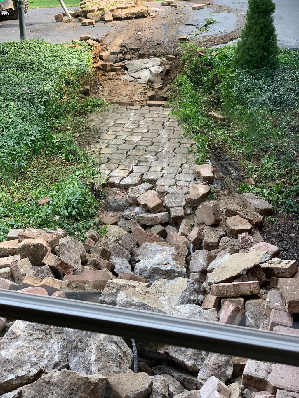 Two months after demo, and I finally spread the last bag of topsoil and remembered to take pictures!