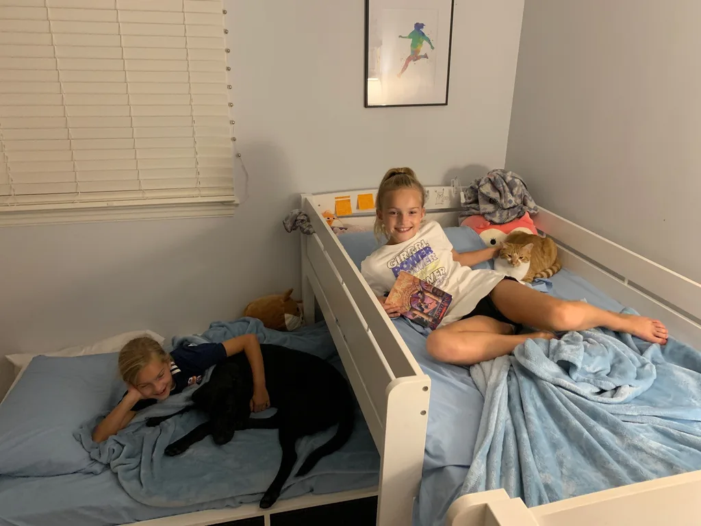 Look at these spoiled pets enjoying book time!