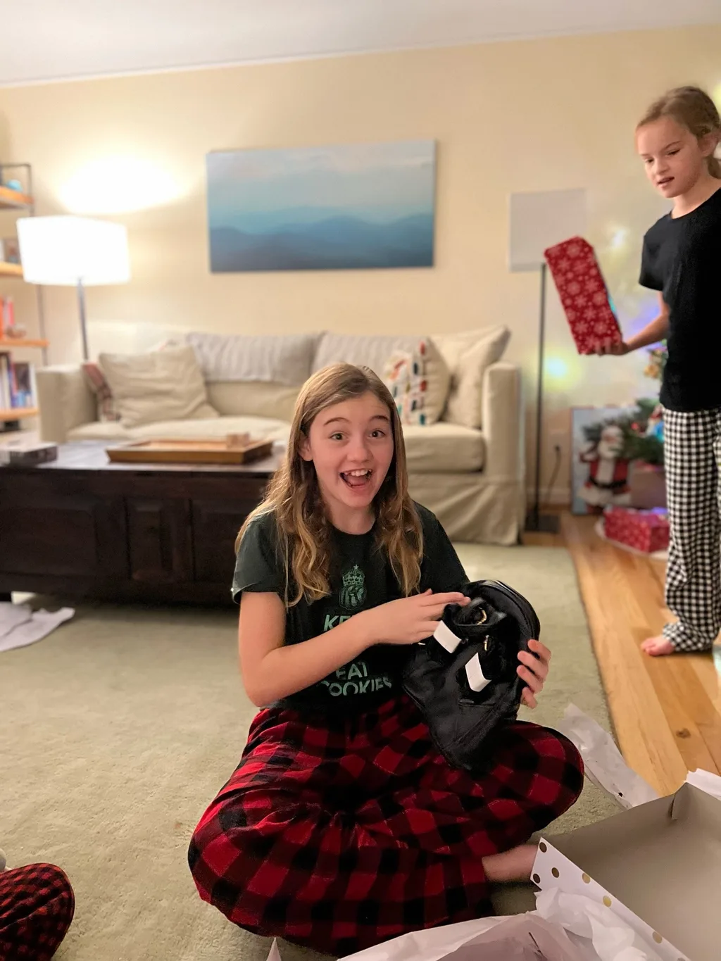 Christmas morning! Santa brought wireless earbuds and 3D printer pens!