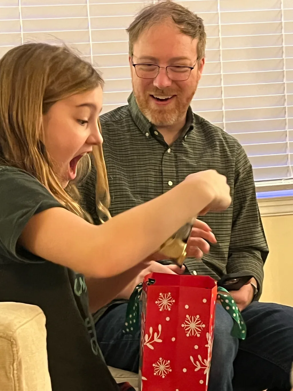Christmas morning! Santa brought wireless earbuds and 3D printer pens!